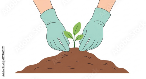 Hands in gloves planting a small green sprout in fertile soil concept of gardening and new beginnings isolated on white background