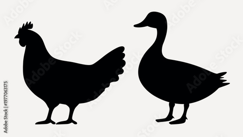 Silhouettes of farm birds vector set