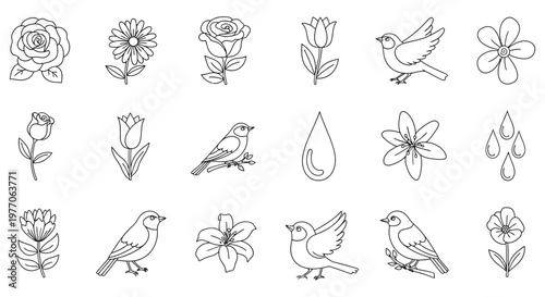A collection of flowers and birds drawings isolated on white background, Vector, illustration