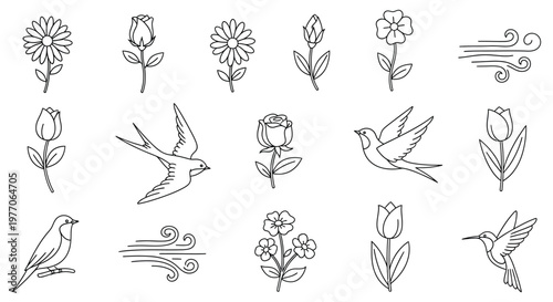 A collection of flowers and birds in a simple line drawing style isolated on white background, Vector, illustration