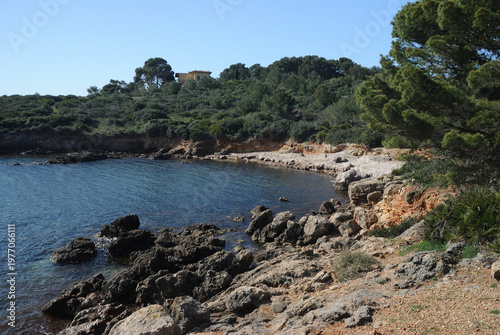 La costa vicino alla torre del Lazzaretto