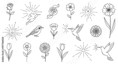 Fényképezés A collection of flowers and birds drawings isolated on white background, Vector,