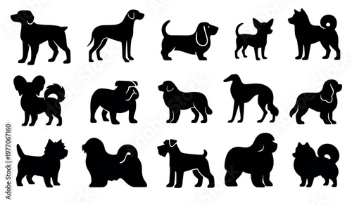 Silhouettes of various dog breeds vector set