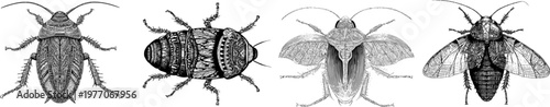 An intricately designed Madagascar hissing cockroach illustration features sharp black ink outlines against a solid white background, rendered in monochrome coloring book style with clear boundaries,