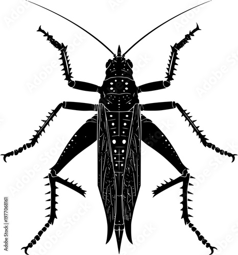 A massive weta grasshopper with heavy spiked hind legs stands starkly against a pure white background in this minimalist vector illustration