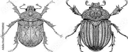A majestic goliath beetle with a heavy armored shell, sharp black ink outline, and monochrome coloring book style, exudes symmetry and clarity in its detailed symmetrical line art