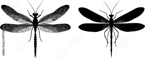A minimalist stencil design of an elegant snakefly with a long neck and stark black silhouette, isolated on a pure white background, showcasing crisp high contrast edges in flat vector style