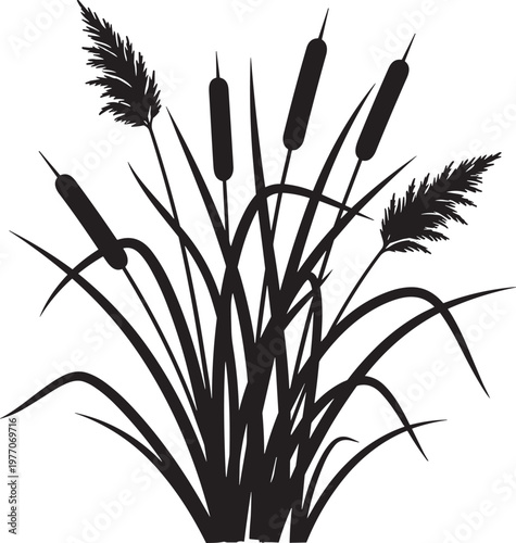 Cattail and Reed Silhouette Featuring Marsh Grass for Wetland Nature Wildlife Conservation and Water Plant Concepts Flat Vector Illustration Black and White