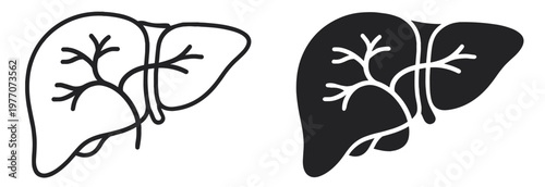 human liver icon, hepatic anatomy with bile duct, outline and silhouette vector illustration isolated on transparent background