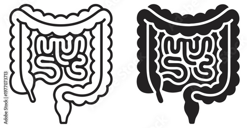 human intestine icon, digestive system colon anatomy, outline and silhouette vector illustration isolated on transparent background