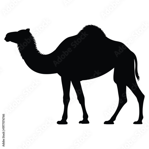 A striking black silhouette of a dromedary camel showcasing its distinctive hump and form silhouette