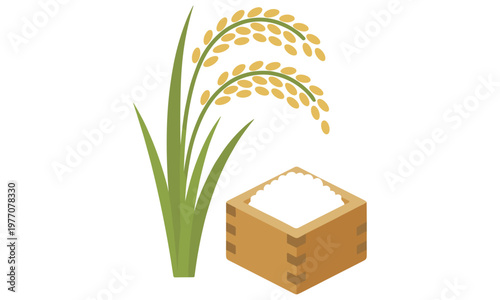Golden rice stalk and a traditional Japanese wooden masu cup filled with white rice grains for agriculture concept