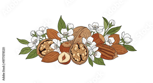 Meticulous illustration of assorted organic nuts including walnuts and almonds nestled among pristine white spring blossoms and lush green leaves on white.