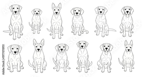 Collection of Dog Breeds Sitting Poses Line Art Drawing Vector Illustration