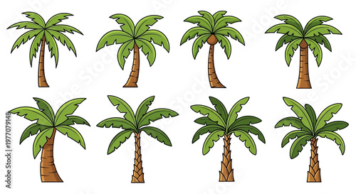Set of eight cartoon palm trees, tropical plants, isolated on white background