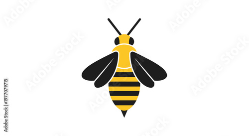 bee on white background