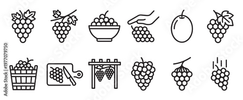 Collection of twelve black outline grape icons depicting various forms and stages of the fruit, presented in a clean, minimalist style