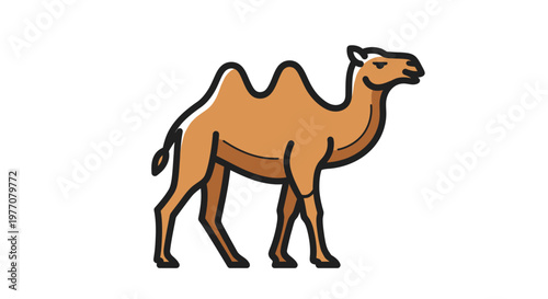 camel cartoon illustration