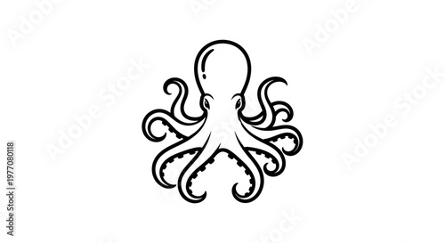 black and white floral elements