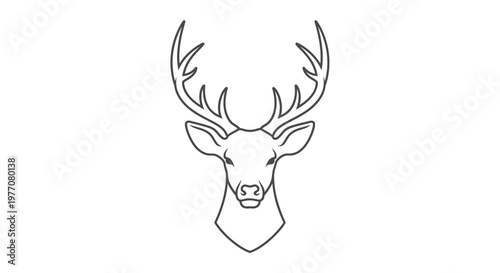 silhouette of a deer