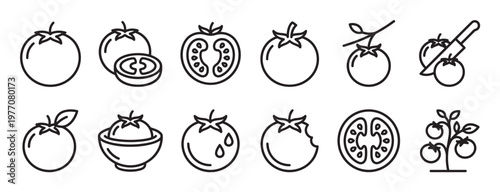 Collection of simple line art tomato icons depicting whole, sliced, bitten, and growing vegetables in various forms