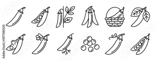 Collection of black outline pea icons depicting various forms of the vegetable, including pods, plants, and loose peas