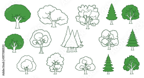 Collection of Diverse Tree Illustrations: Deciduous and Coniferous Styles