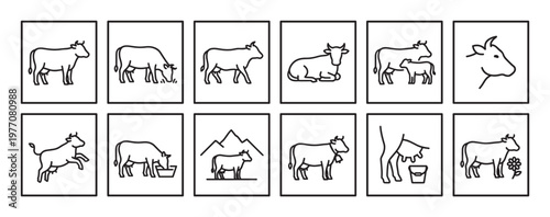 Collection of twelve simple black outline cow icons depicting various actions and scenes in a minimalist style