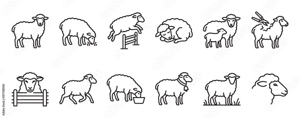 Obraz premium Various sheep line art icons depict different actions and poses, including standing, grazing, jumping, sleeping, and being shorn