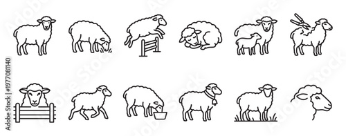 Various sheep line art icons depict different actions and poses, including standing, grazing, jumping, sleeping, and being shorn