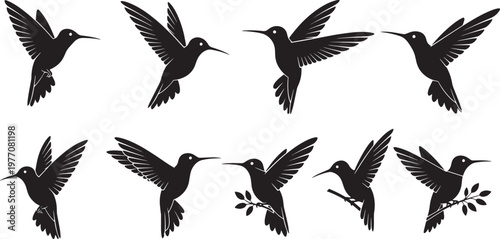 Dynamic collection of elegant hummingbird silhouettes, captured in various graceful flight and perching poses, perfect for intricate design elements and captivating natural imagery