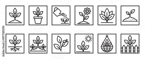 Collection of twelve simple black outline icons depicting various stages and aspects of plant growth and gardening