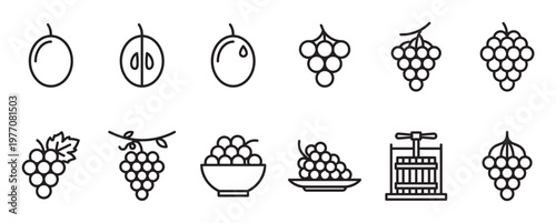Collection of simple black outline icons depicting various stages and forms of grapes and winemaking process