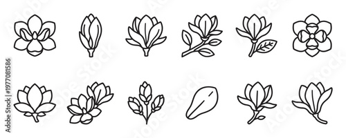 Collection of various simple line art magnolia flower icons, including buds, blossoms, and petals, presented in a clean, minimalist style