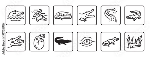 Collection of twelve distinct crocodile and alligator line art icons, depicting various poses and actions in a clean, graphic style