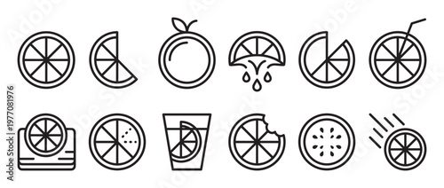 Various citrus fruit outline icons depicting whole, sliced, squeezed, and juiced oranges or lemons in a clean, modern style