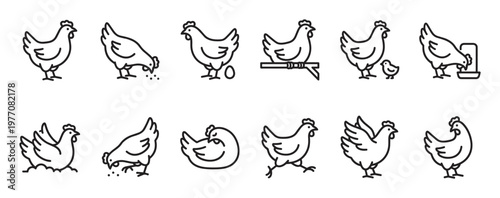 Collection of simple black outline chicken icons in various poses, including standing, eating, and nesting