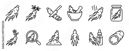 Various black outline icons depicting ginseng root in different forms, including whole, sliced, processed, and prepared for use