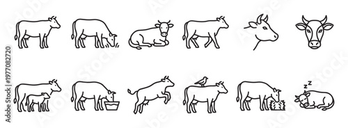 Collection of simple line art cow icons depicting various poses and activities in a clean, minimalist style