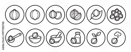 Set of twelve black outline icons depicting various forms of shea nuts and their derived products, presented in a clean, modern style
