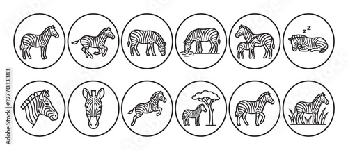 Various black and white zebra outline icons in circular frames depicting different poses and activities