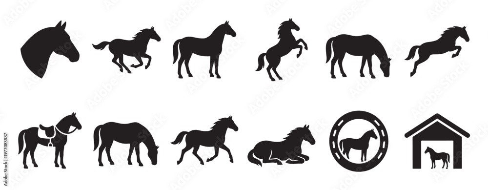 Fototapeta premium Collection of various black horse silhouettes depicting different poses and equestrian related icons in a graphic style
