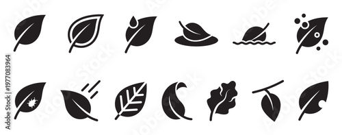 Collection of black leaf icons depicting various states and conditions, including healthy, damaged, and wet foliage