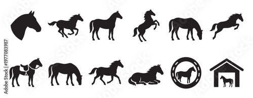 Collection of various black horse silhouettes depicting different poses and equestrian related icons in a graphic style