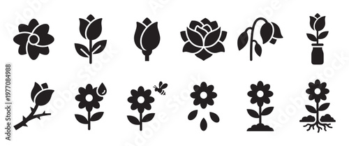 Collection of various black flower icons representing different stages of growth and related elements in a simple graphic style