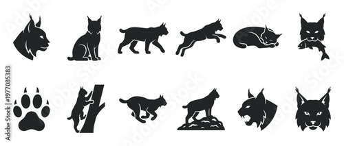 Various black lynx silhouettes in different poses and actions, including walking, jumping, sleeping, and hunting fish