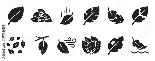 Collection of black silhouette leaf icons depicting various states like falling, damaged, and blowing in the wind, presented as a graphic design element