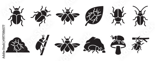 Various black beetle and insect glyph icons are neatly arranged, depicting different species and their natural habitats in a clean, graphic style