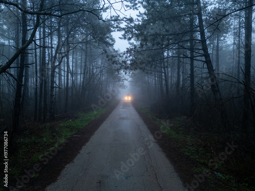 Drone POV flying towards car with headlights in dark misty pine forest