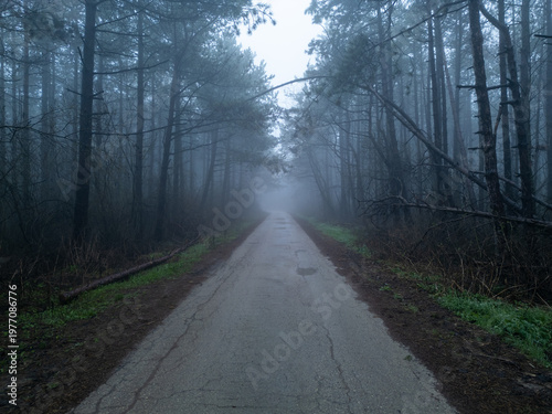 Drone POV flying over a lonely road through a dark misty pine forest in the fog